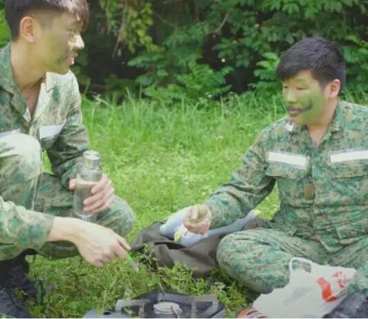 5 NS Deferment Reasons For Reservist That Are Usually Approved