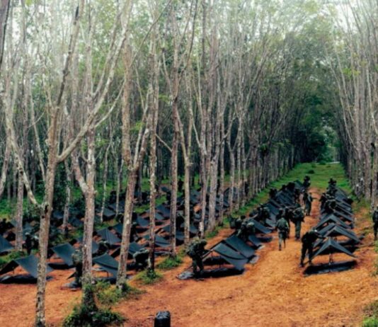 8 Things Learnt From Your First BMT Field Camp That’ll Stay With You Forever