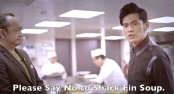 This Video Of Jay Chou Speaking English Will Make You Conflicted At Your Wedding Banquet