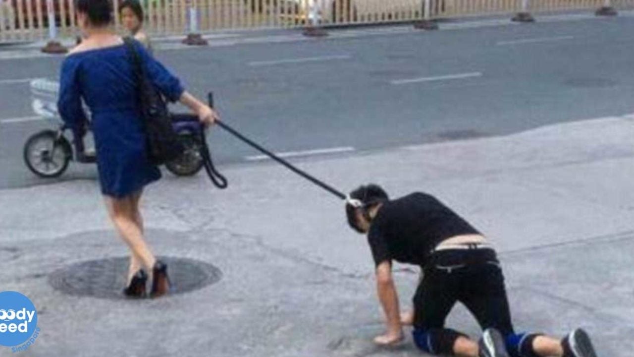 Relationship Goals Failed: Woman Walks Man With A Leash - Goody Feed