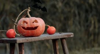 7 Facts About Halloween You Probably Didn’t Know About