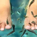 All Fishes in a Foot Fish Spa Allegedly Died After Man Put His Stinky Feet In