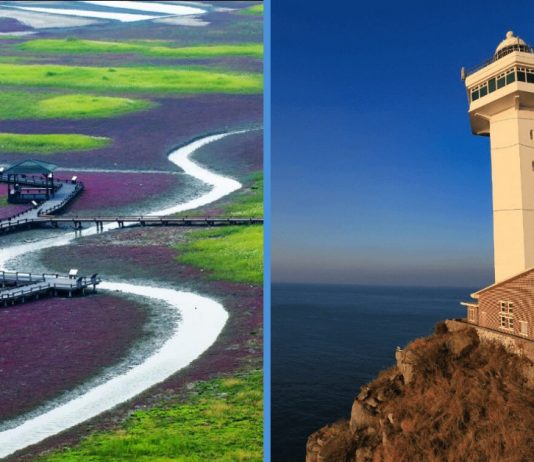 7 Islands to Visit in Korea Other Than Jeju Island for the Hipster S’porean