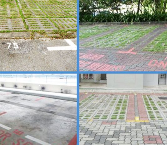 The Meanings of the Colours in S’pore Public Car Park Lots for the Noob Drivers