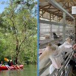 11 Gems in the North of S’pore That Yishun-ers & Woodland-ers Are Proud Of