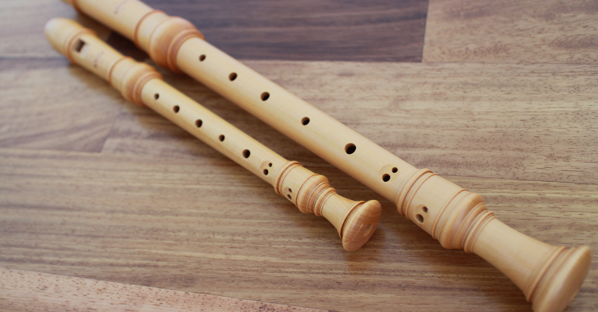 8 facts about the recorder s poreans used to learn in school goody feed