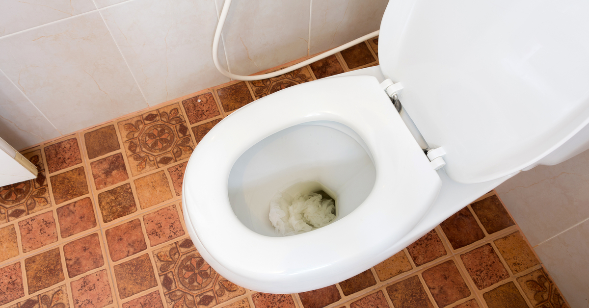 A Hack to Unclog a Clogged Toilet Bowl That Works Like Magic Goody Feed