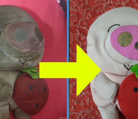 Man Washed ‘Chou Chou’ & It Turned from Black to Pink