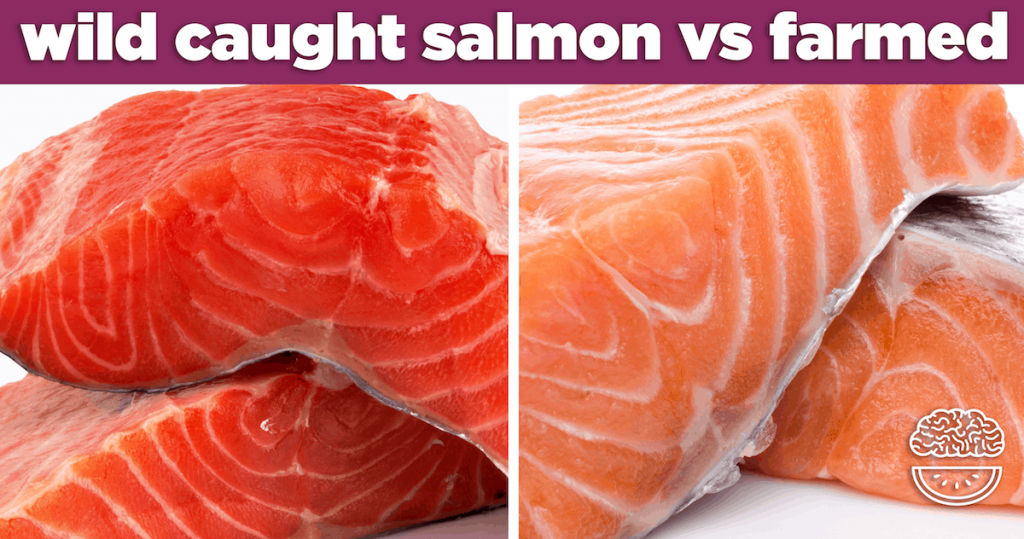 Facts About Farmed Salmon Vs Wild Salmon Theres A Risk Of Having Farmed Salmon Goody Feed 4897