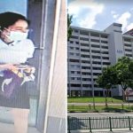 Professionally Dressed Lady Disguised as Chinese Cop Allegedly Scammed $500K From Bedok Resident