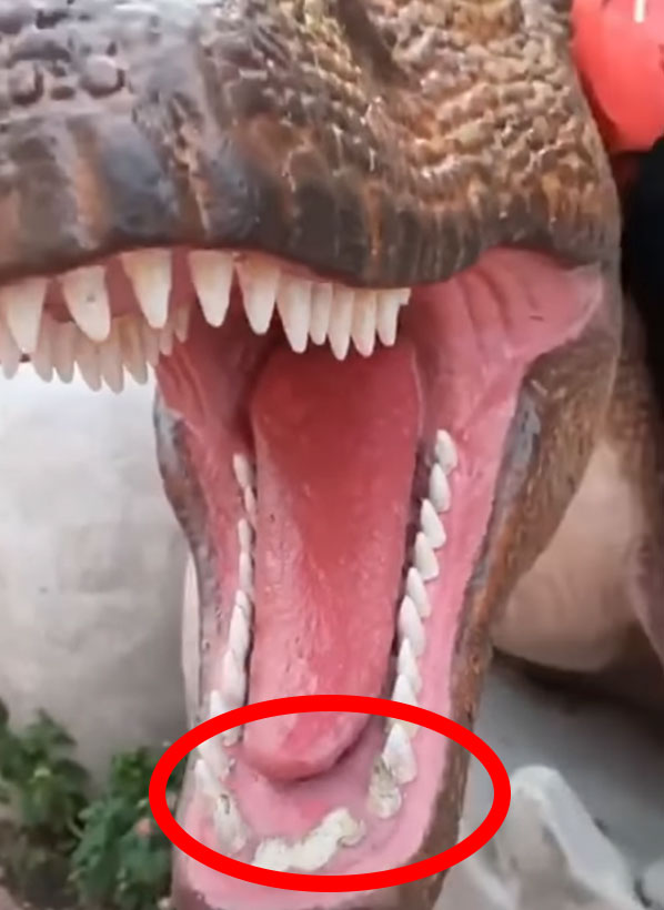 dinosaur with 300 teeth