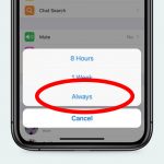WhatsApp Now Allows You to Mute a Chat Forever So You Can Ghost People Easier