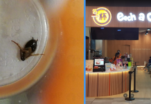 Each-A-Cup Responded After Customer Felt Cockroach in His Chocolate Milk Tea