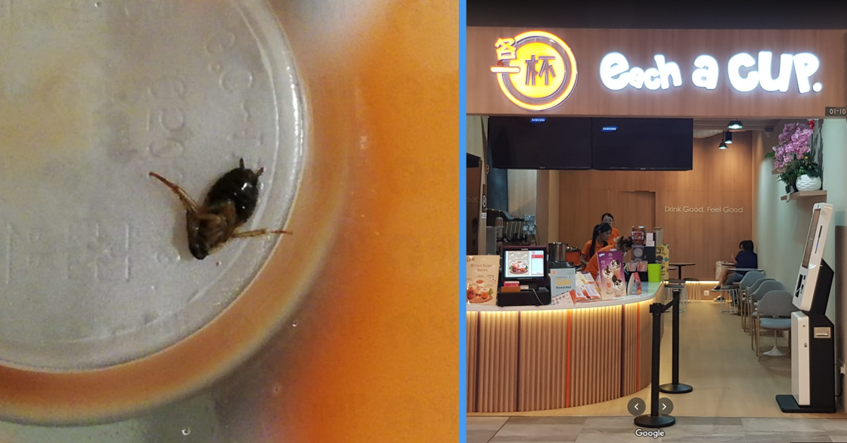 Each-A-Cup Responded After Customer Felt Cockroach in His Chocolate ...