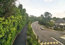 Everything About the Lornie Nature Corridor, a New Green Path for IG-Worthy Moments