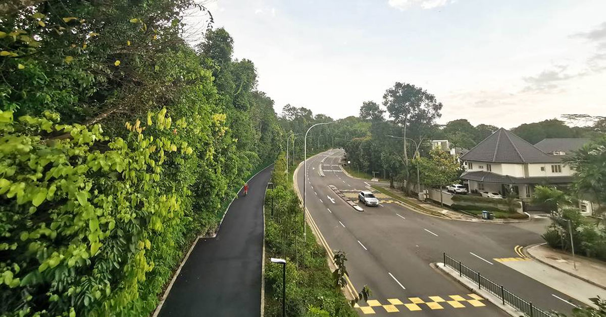 Everything About the Lornie Nature Corridor, a New Green Path for