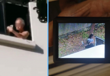 Man Singlehandedly Caught 80 Litterbugs from His HDB Window Every Month With a Camera