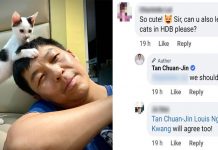 Another MP Has Joined in the Talk to Legalise Having Cats in HDB