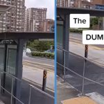 Authorities Respond to Weird Sheltered Walkway That ‘Ends at Nowhere’ in Punggol