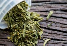 Why S’pore is Disappointed at UN’s Decision About Cannabis Simplified for You