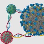 You May be Infected Less Severely by COVID-19 if You Have A Strong T-Cell Immune Response to the Virus