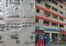 Tampines Resident Who Famously Killed 323 Mosquitoes Has Likely Killed NEA-Released Wolbachia Mosquitoes