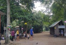 Everything About the Closure of The Animal Resort & They Are No Long Taking New Bookings