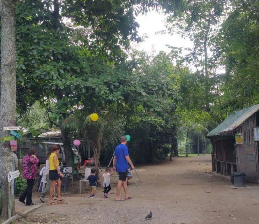 Everything About the Closure of The Animal Resort & They Are No Long Taking New Bookings