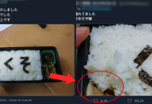 Wife Serves Plain Rice Bento Set After Argument with Husband But There’s Actually Meat Underneath