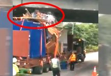 Trailer Collided into Flyover Along AYE As It Carried too Many Goods; 45YO Driver Arrested