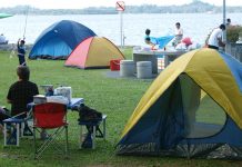 Everything About the Reopening of Public BBQ Pits & Campsites from 20 Jan