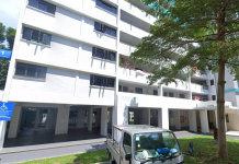 Woman Abandoned Her 4 Pet Cats At Void Deck As She Thought They Could Spread COVID-19