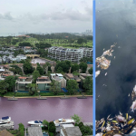 NEA Found Cause of Pink Waterway in Sentosa & It’s Caused by Heavy Rain