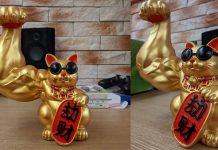 There Are Now Extremely Muscular Fortune Cats for Sale for a Huat 2021