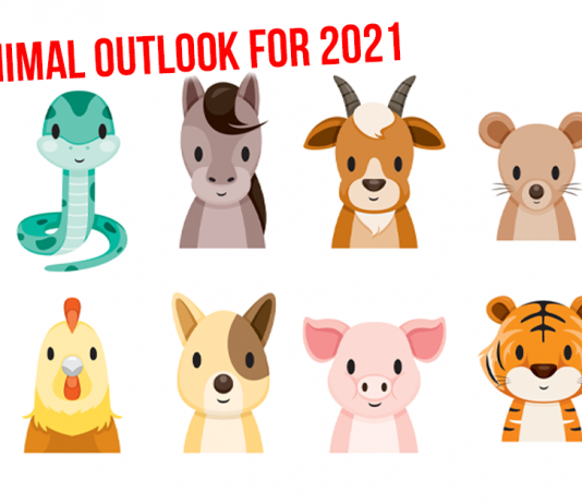 Ultimate Concise Guide to The Fortune of All Chinese Zodiac Signs in the Year of the Ox (2021)