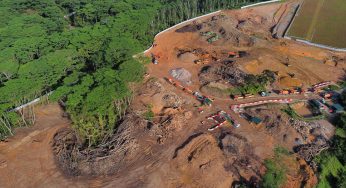 Large Areas of Kranji Woodlands Forest Have Been Mistakenly Cleared, “Stern Warning” Issued to Firm