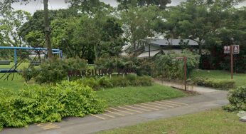 Falling Tree in Marsiling Park Kills A 38-Year-Old Woman; Tree Was Last Checked in April 2020