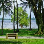 3 Pest Control Companies Fined by NParks for Handling Wildlife Without Permits
