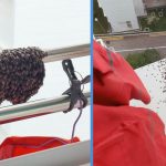 Over 200 Bees Form Large Beehive on Laundry Pole Outside Punggol HDB Flat; Resident Had to Contact Town Council for Help