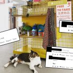 Jurong Void Deck Offers Free Second-Hand Items for Others to Bring Home; Neitzens are more Interested in the Cat instead