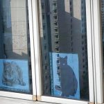 Man in S’pore Uses Cat Photos to Scare off Birds at His Window Ledge