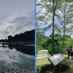10 Beautiful Parks for Nature Lovers to Visit in S’pore