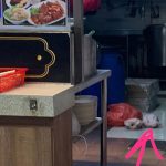 SFA Investigating Clementi Food Stall That Allegedly Put Raw Chickens on the Floor