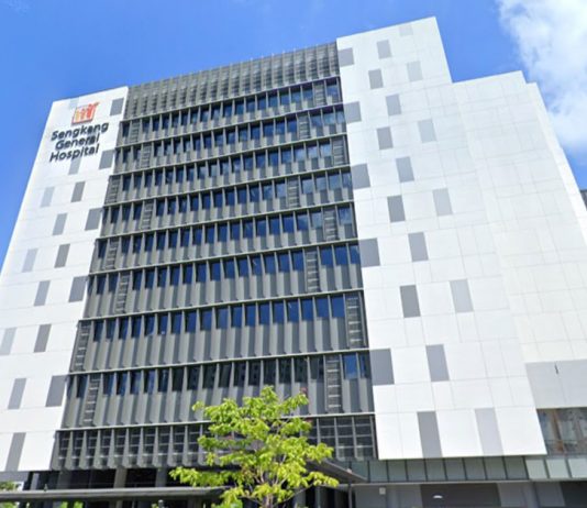 Man Who Slapped & Swung Wife into the Nearby Rubbish Bin & Broke Her Index Finger Jailed 1 Year