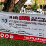 Experts Say That New Strains of Dengue Could Cause A Larger Outbreak