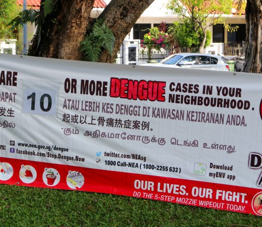 Everything About What Dengue Fever is in Singapore & Its Vaccine