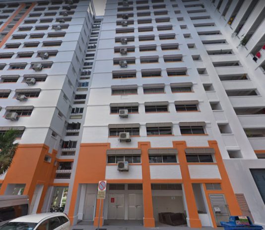 Twins Assaulted Police Officer at Void Deck Coz’ They ‘Don’t Like His Face’