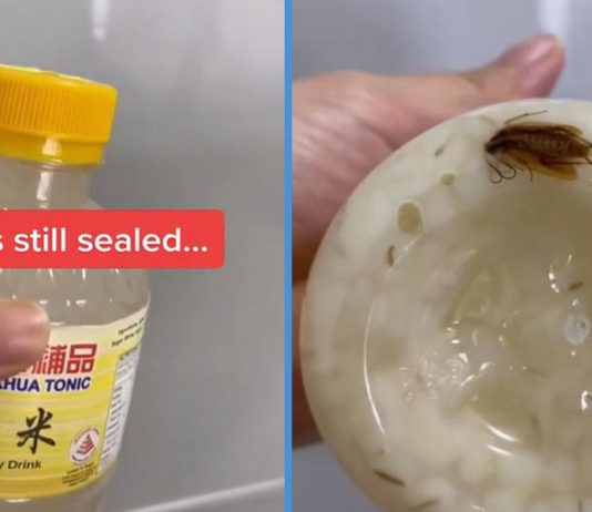 Netizen Found Cockroach in Herbal Drink from Hockhua Tonic; Company Has Since Responded