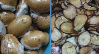 M’sian Shares Recipe On How to Turn Durian Seeds into Edible Chips