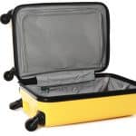 Man Hid Wanted Friend in a Suitcase for an Hour During a Police Search